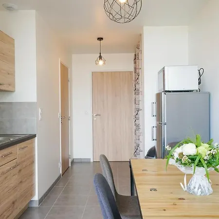 Studio Paris, Proche Gare De Rodez Διαμέρισμα Ροντέζ